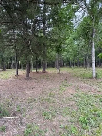 139778 Capital Creek Ranch Boulevard Willis TX 77378