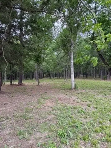139778 Capital Creek Ranch Boulevard Willis TX 77378