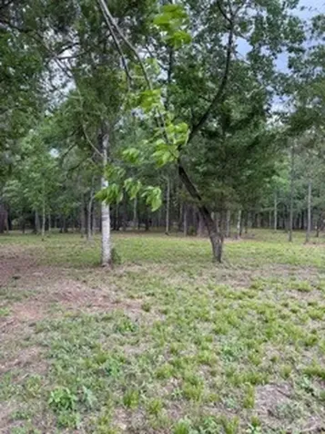 139778 Capital Creek Ranch Boulevard Willis TX 77378