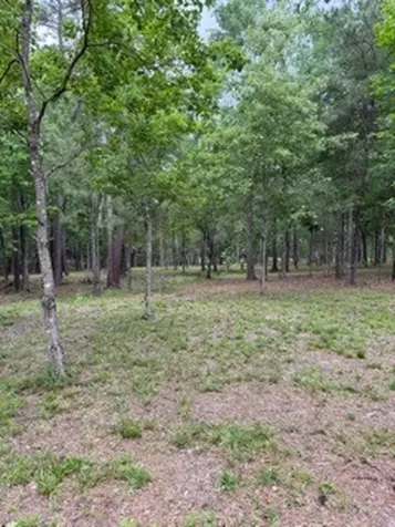 139778 Capital Creek Ranch Boulevard Willis TX 77378