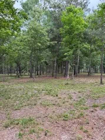 139778 Capital Creek Ranch Boulevard Willis TX 77378