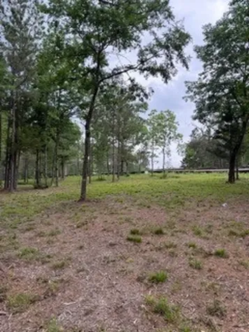 139778 Capital Creek Ranch Boulevard Willis TX 77378