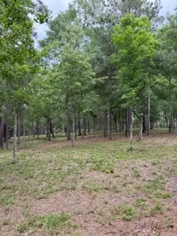139778 Capital Creek Ranch Boulevard Willis TX 77378