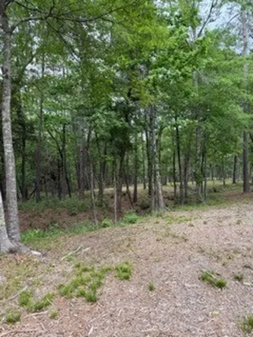 139778 Capital Creek Ranch Boulevard Willis TX 77378