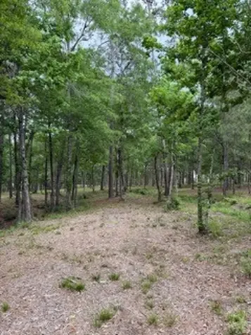 139778 Capital Creek Ranch Boulevard Willis TX 77378