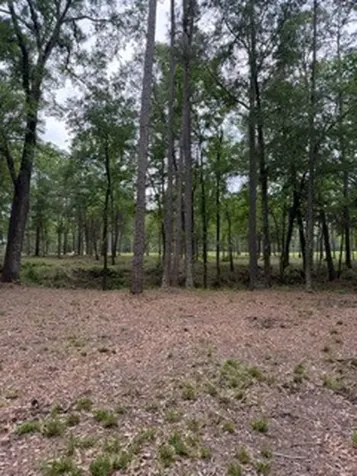 139778 Capital Creek Ranch Boulevard Willis TX 77378