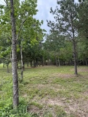 139778 Capital Creek Ranch Boulevard Willis TX 77378