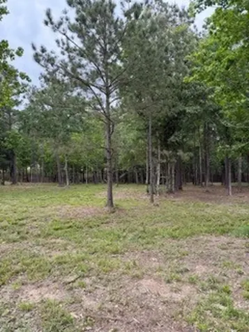 139778 Capital Creek Ranch Boulevard Willis TX 77378
