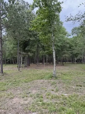 139778 Capital Creek Ranch Boulevard Willis TX 77378