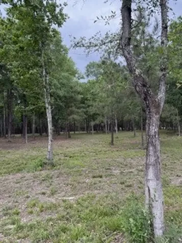 139778 Capital Creek Ranch Boulevard Willis TX 77378
