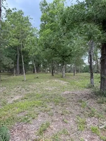 139778 Capital Creek Ranch Boulevard Willis TX 77378