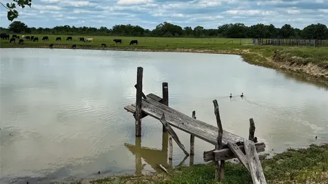 Tbd County Road 317 Rockdale TX 76567