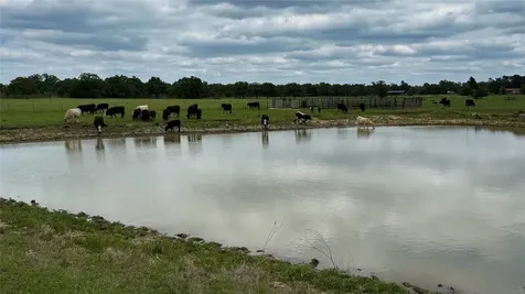 Tbd County Road 317 Rockdale TX 76567