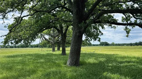 Tbd County Road 317 Rockdale TX 76567