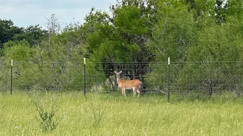 Tbd County Road 317 Rockdale TX 76567