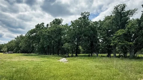 Tbd County Road 317 Rockdale TX 76567