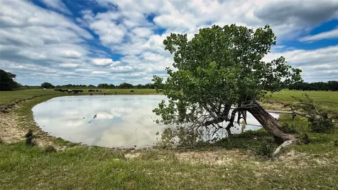 Tbd County Road 317 Rockdale TX 76567