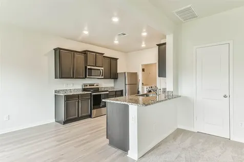 1123 Rare Fancy Drive Iowa Colony TX 77583