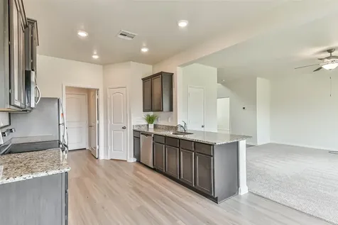 1123 Rare Fancy Drive Iowa Colony TX 77583