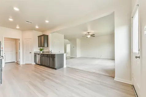 1123 Rare Fancy Drive Iowa Colony TX 77583