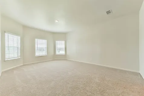 1123 Rare Fancy Drive Iowa Colony TX 77583