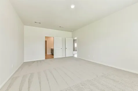 1123 Rare Fancy Drive Iowa Colony TX 77583