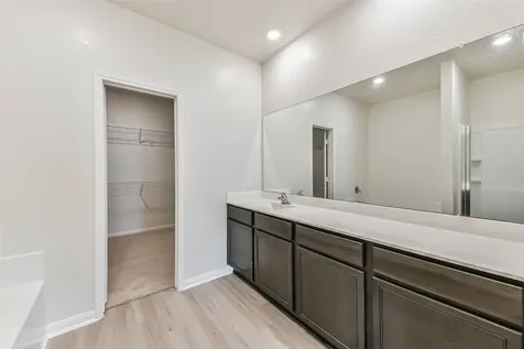 1123 Rare Fancy Drive Iowa Colony TX 77583