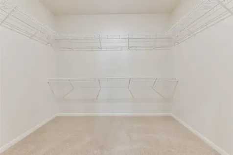 1123 Rare Fancy Drive Iowa Colony TX 77583