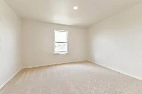 1123 Rare Fancy Drive Iowa Colony TX 77583