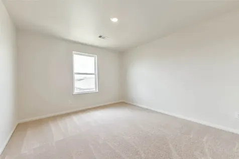 1123 Rare Fancy Drive Iowa Colony TX 77583