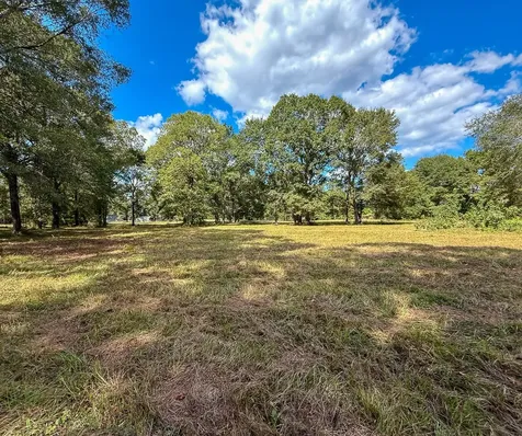 0 Mount Zion Road New Waverly TX 77358