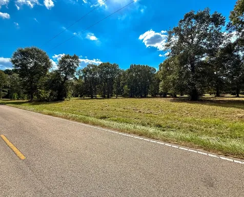 0 Mount Zion Road New Waverly TX 77358