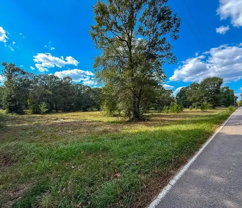 0 Mount Zion Road New Waverly TX 77358