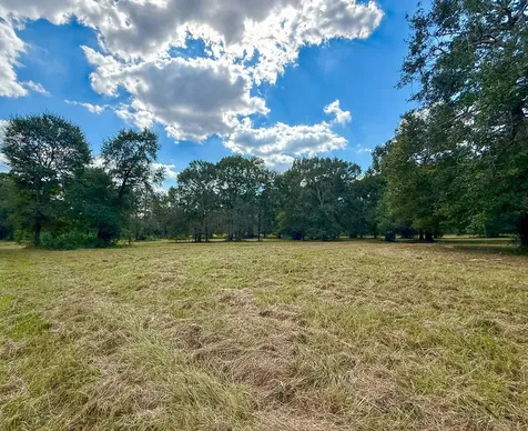0 Mount Zion Road New Waverly TX 77358