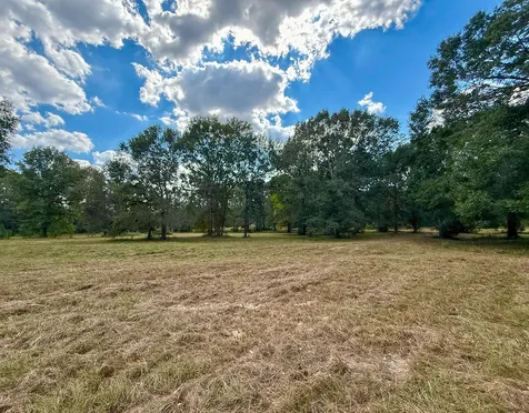 0 Mount Zion Road New Waverly TX 77358