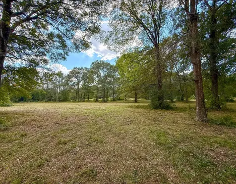 0 Mount Zion Road New Waverly TX 77358