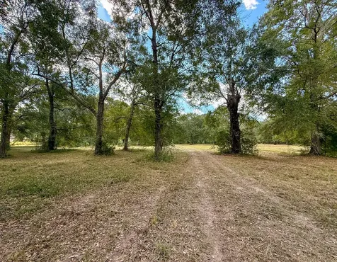 0 Mount Zion Road New Waverly TX 77358