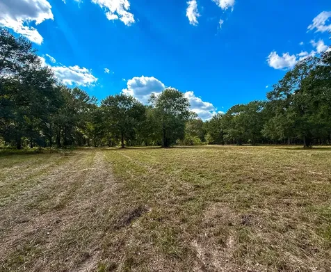 0 Mount Zion Road New Waverly TX 77358