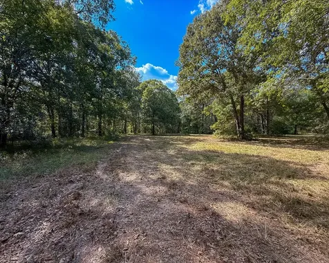 0 Mount Zion Road New Waverly TX 77358