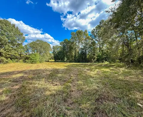 0 Mount Zion Road New Waverly TX 77358