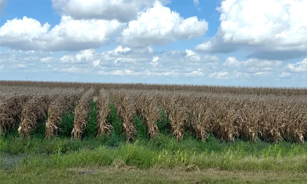 0 Fm 458 Midfield TX 77458