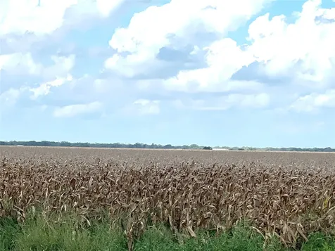 0 Fm 458 Midfield TX 77458