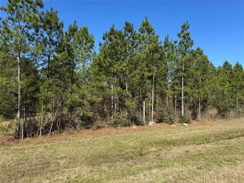 15999 Wood Grove Way Willis TX 77378