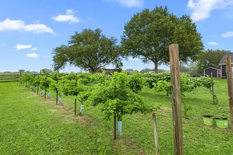 16720 Fm 1164 Road East Bernard TX 77435