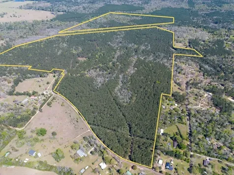 526 Mount Pisgah Road Woodville TX 75979