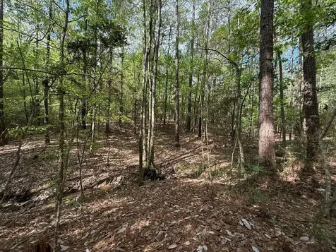 526 Mount Pisgah Road Woodville TX 75979