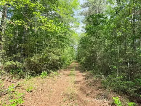 526 Mount Pisgah Road Woodville TX 75979
