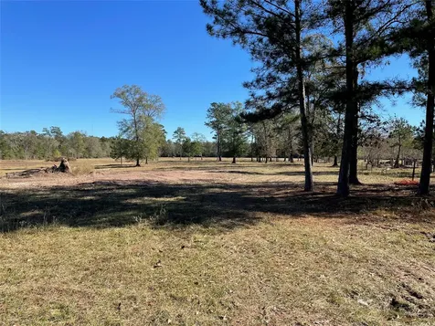 0 California Avenue Cleveland TX 77328