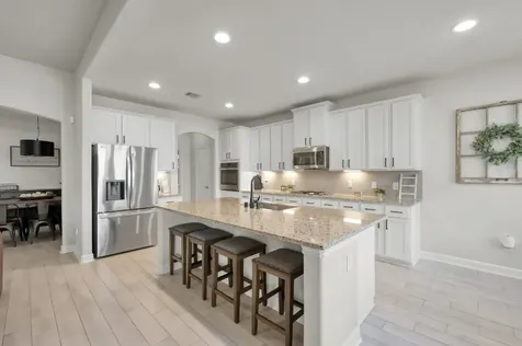 241 Bright Bluff Circle Waller TX 77484