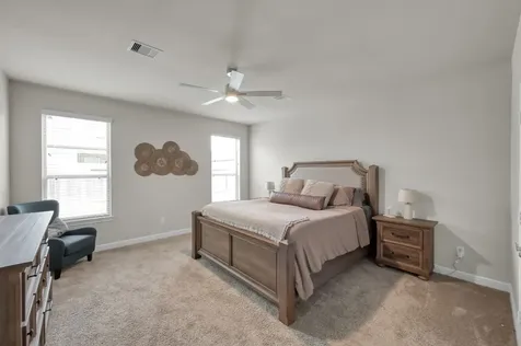 241 Bright Bluff Circle Waller TX 77484